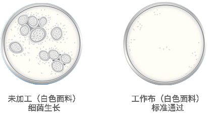 专业除甲醛